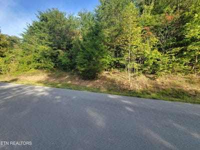 /international/us/hickory-point-lane-lot-51-maynardville-tn-110120085784/
