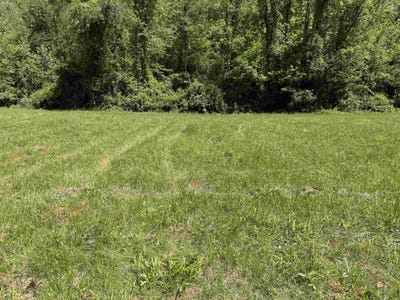 /international/us/0-lot-3-county-rd-70-proctorville-oh-110102563609/