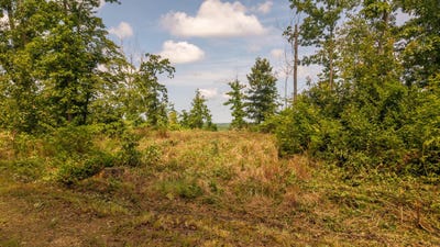 /international/us/0-bobcat-lane-mammoth-spring-ar-110101101895/?lang=zh-tw