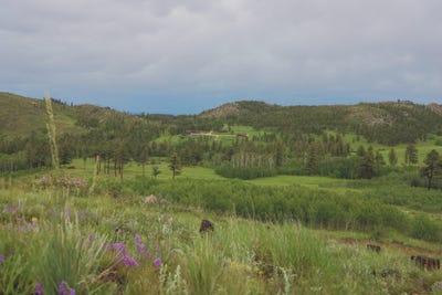 /international/us/14884-rist-canyon-road-bellvue-co-110100395621/