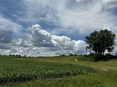 /international/us/hwy-bn-lot-1-stoughton-wi-110110167445/