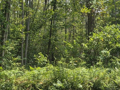 /international/us/1220-blue-hills-avenue-bloomfield-ct-110101168780/?lang=zh-cn