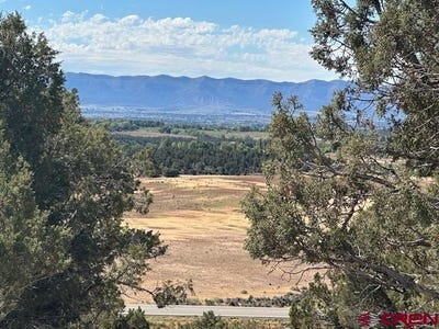 /international/us/road-v4-dolores-co-110102167032/