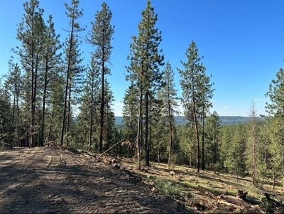 /international/us/nka-weaver-way-deer-park-wa-110100622561/
