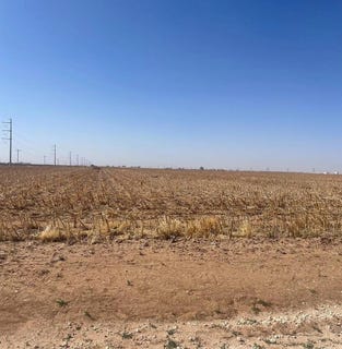 /international/us/13929-n-county-road-2300-lubbock-tx-110091982213/