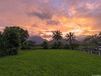 /international/us/221-kihapai-street-kailua-hi-110108478356/