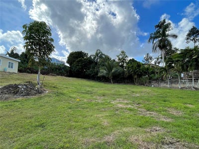 /international/us/canaboncito-strd-172-km7-5-caguas-pr-110104589318/