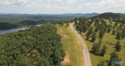 /international/us/county-road-1022-lot-213-cedar-bluff-al-110110243229/