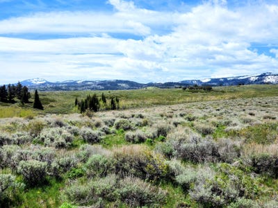 /international/us/1664-mill-canyon-rd-montpelier-id-110107852907/