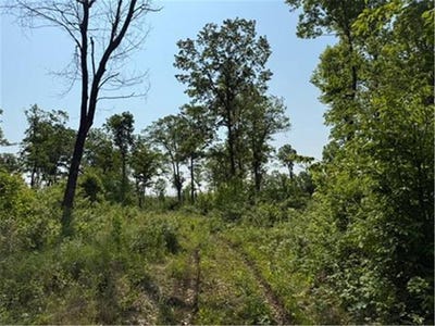 /international/us/tbd-county-road-t-dairyland-wi-110100053482/?lang=zh-cn