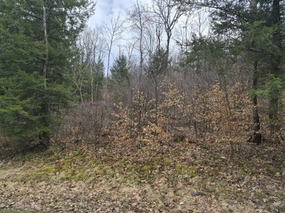 /international/us/pond-road-lot-1-rockingham-vt-110107397184/