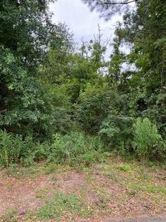 /international/us/44064-highway-445-lot-1-robert-la-110110304103/