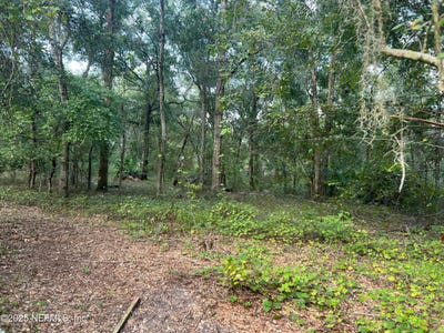 /international/us/126-willow-lane-hawthorne-fl-110102850524/