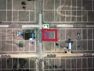 /international/us/n-molly-bee-howardwick-tx-110072695333/