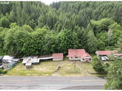 /international/us/39688-row-river-rd-dorena-or-110108129709/