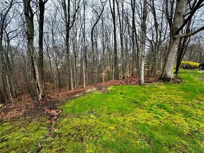 /international/us/110-eastview-lane-beckley-wv-110107765242/