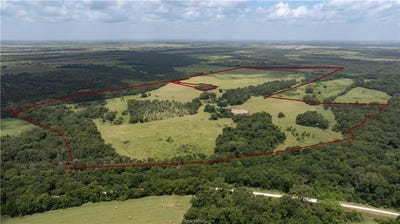 /international/us/226-acres-located-on-lcr-725-kosse-tx-110101162556/?lang=en