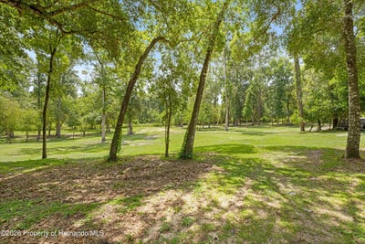 /international/us/3311-baseball-pond-road-brooksville-fl-110109063127/