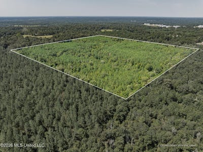 /international/us/40-acres-hwy-588-collins-ms-110106676005/