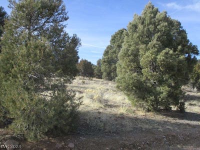 /international/us/nevada-hwy-322-13-753-ac-pioche-nv-110090876119/?lang=zh-tw