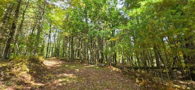 /international/us/state-rt-97-lot-6-17-narrowsburg-ny-110120130458/