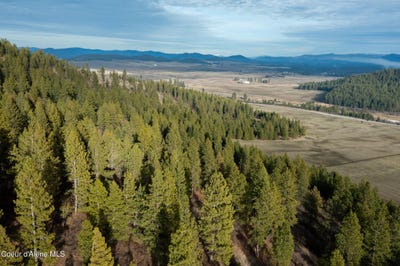 /international/us/nka-15-acres-worley-id-110105844169/