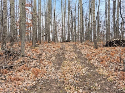 /international/us/0-town-hall-road-springbrook-wi-110098938262/?lang=en