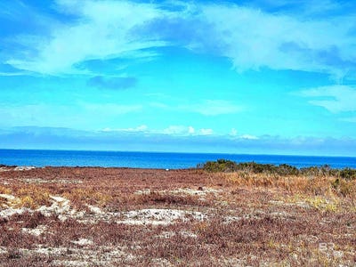 /international/us/2826-bienville-boulevard-lot-31-dauphin-island-al-110106233156/