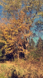 /international/us/lt0-lake-view-rd-west-bend-wi-110100617603/