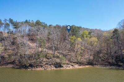 /international/us/lot-10-flat-rock-cove-crane-hill-al-110101065231/