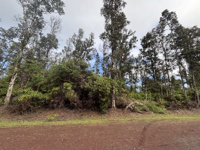 /international/us/hilo-st-pahoa-hi-110101150048/?lang=zh-cn