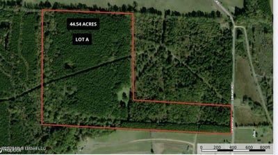 /international/us/swamp-road-lot-a-e-carthage-ms-110107733585/
