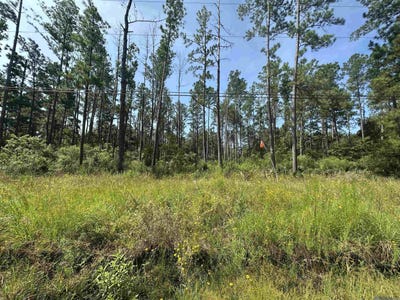 /international/us/1-39-acres-hood-rd-denham-springs-la-110101162787/?lang=fr
