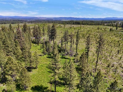 /international/us/timberline-heights-parcel-2-weippe-id-110120528751/