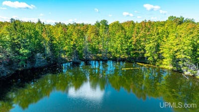 /international/us/horseshoe-lake-road-toivola-mi-110110189741/