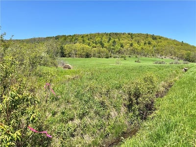 /international/us/463-cemetery-road-seward-ny-110099398021/