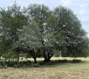 /international/us/tbd-l-c-r-217-hallettsville-tx-110105113267/