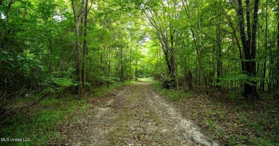 /international/us/holly-grove-meeks-road-cruger-ms-110103592580/