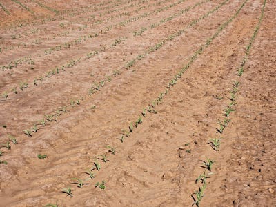 /international/us/0-county-road-17-headland-al-110098821089/?lang=zh-cn