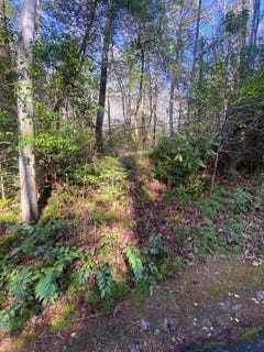 /international/us/sunrise-court-lot-154-sapphire-nc-110105084957/