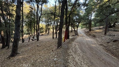 /international/us/722-mojave-river-road-cedarpines-park-ca-110097760173/?lang=zh-tw