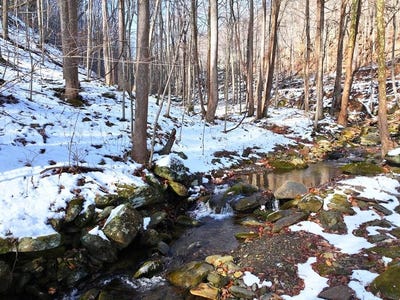 /international/us/shooting-creek-rd-lot-0-floyd-va-110104270279/