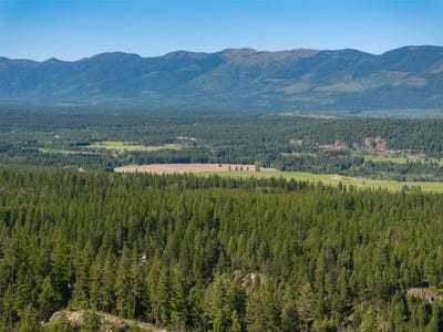 /international/us/greenstone-ranch-road-whitefish-mt-110100212875/