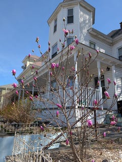 /international/us/14-wall-st-worcester-ma-110120682114/