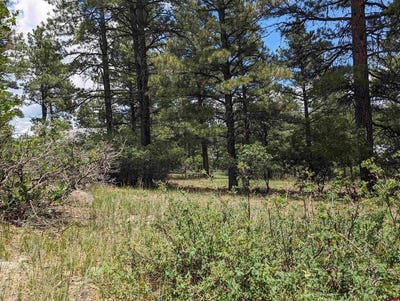 /international/us/90-balfour-court-pagosa-springs-co-110108478772/