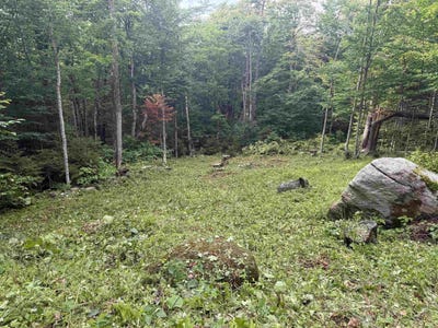 /international/us/rue-madeline-readsboro-vt-110109028460/