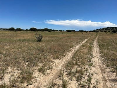 /international/us/long-horn-ranch-lot-17-model-co-110096762527/
