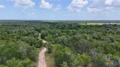 /international/us/cr-420-waelder-tx-110109629049/