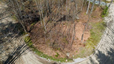 /international/us/turtle-bridge-crossing-lot-615-hillsborough-nh-110108168298/