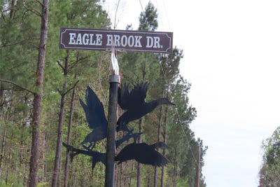 /international/us/eagle-brook-lewisville-ar-110106842639/